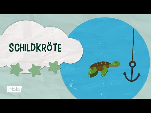 Impressionen: Schildkröte