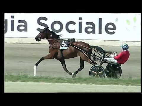 Napoli Trotto 20/09/2022 - 1ª corsa