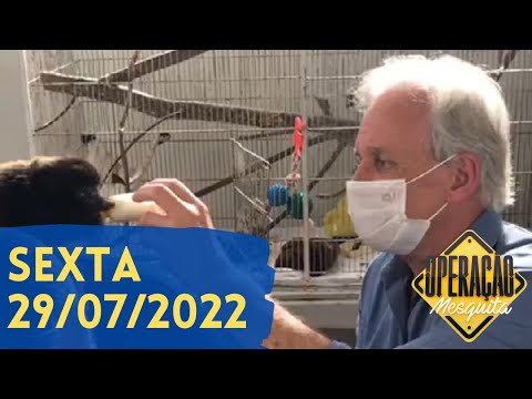 Operação Mesquita 29/07/2022 - Zoológico de São Paulo