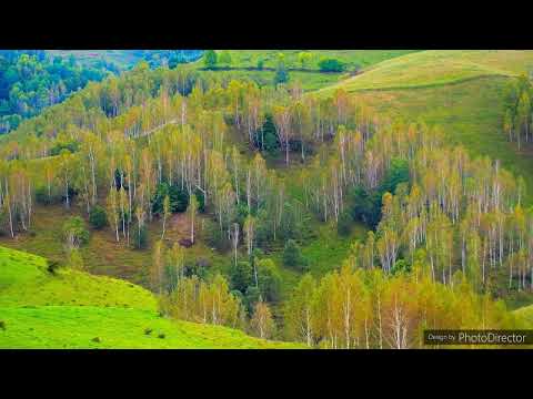 Panorama Dumești Salciua , Apuseni, Transilvania #Ttansylvanua #panoramaDumestiSalciua #nature