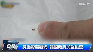 臭蟲危害 學者提醒旅宿先檢查床墊有無蟲體、卵粒