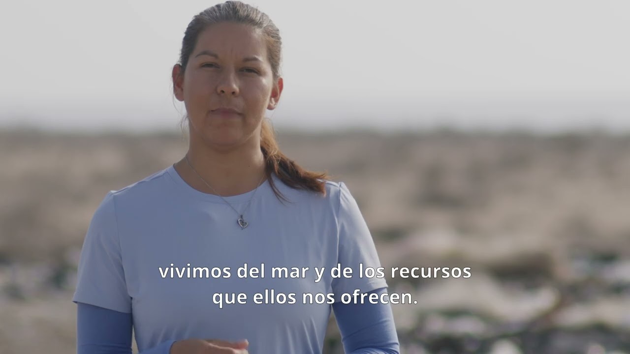 Voceros del Mar - El Dátil, BCS 2/3