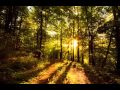 Paul Van Dyk Nothing But You Nature Mix