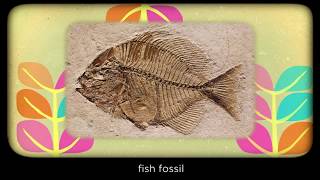 It's showtime! And that's it for the spring session!