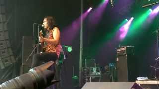 Heathen Set - The Fuzztones Sjock Gierle 8 juli 2012 ( HD kwaliteit)