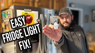 Fridge Light Not Working? How to Replace Refrigerator Door Light Switch