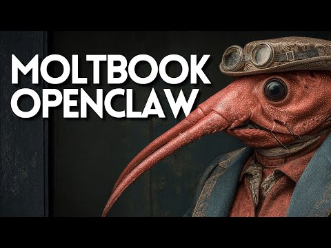 MOLTBOOK e OPENCLAW.AI: il social "dei bot", cosa è, cosa significa e i pericoli... #1523