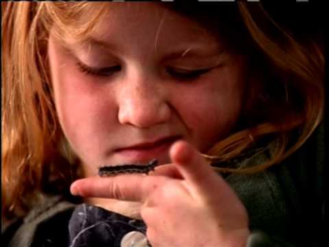 McDonnell Douglas "Will" - "Grandma's Coming"