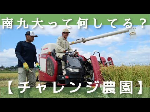 【チャレンジ農園2024】稲刈り①