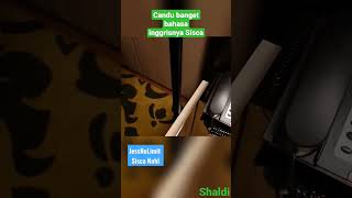 Download lagu Tercandu - candu denger Sisca Kohl ngomong bahasa Inggris #shorts #viral #jessnolimit #siscakohl mp3 Download lagu Tercandu - candu denger Sisca Kohl ngomong bahasa Inggris #shorts #viral #jessnolimit #siscakohl mp3