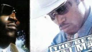 Statesboro Blues by Taj Mahal