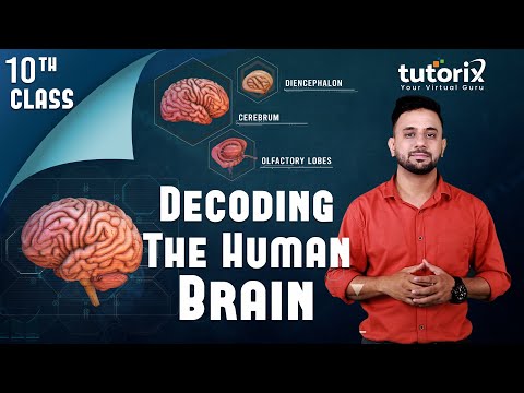 TutorixTV