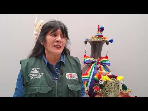 Consejos para el cultivo de haba