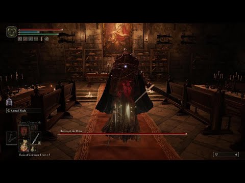 How to beat Elemer of the Briar fight easy 100% method