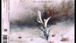 Tears Of Autumn Rain