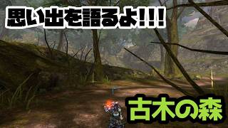 【イザナギオンライン】古木の森の思い出を語るよ！第2回目