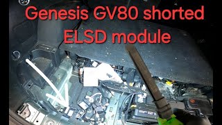 Genesis GV80 multiple warning lights in the cluster
