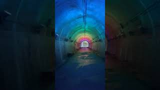 2023.09.16 神戸市立森林植物園 ~青葉トンネルライトアップ~