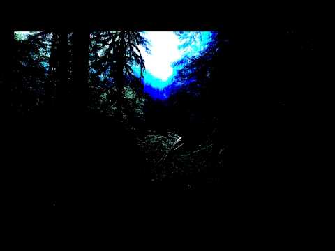 Purple Hex - Stranded