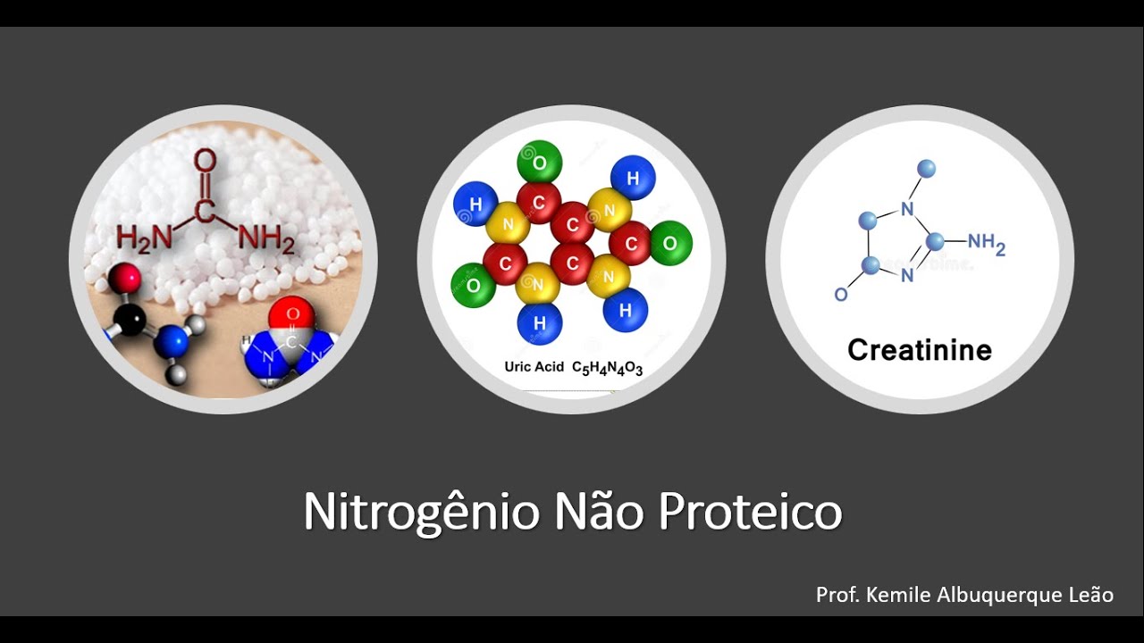 Nitrogênio não proteico