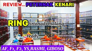 Download lagu Review peternak kenari di malang/ materi mewah  mewah juga menyediakan bahan ternak mp3