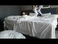 Jumping On A Comfy Hotel Bed With White Ankle Socks