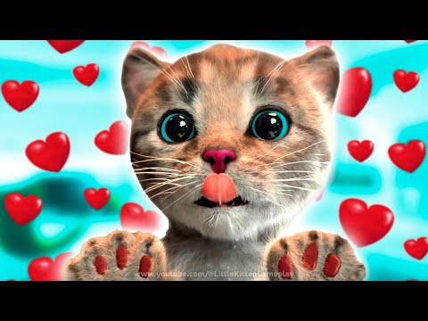 PLAYFUL LITTLE KITTEN ADVENTURE SPECIAL - FUN LITTLE KITTEN AND HIS ADVENTURE SPECIAL LONG JOURNEY