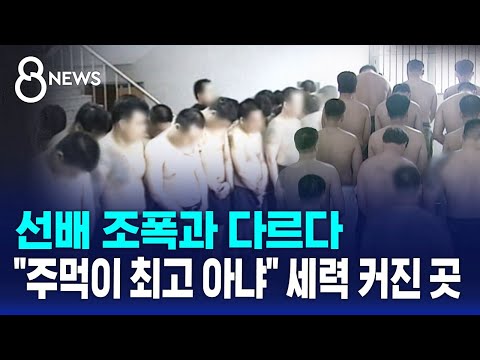 선배 조폭과 다르다..