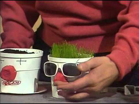 Hajk   Bengt gör blomkruksgubbar   Öppet arkiv  SVT Play