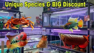 Unique Species Fish Stock | AquaFinScape (BIG Discount)