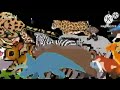 Zoo Animals Stampede In Black Screen
