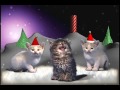 Рождественская песня котов 