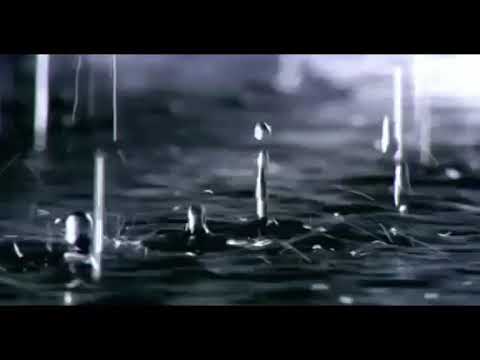 ORANG YANG SALAH - LUVIA BAND -TIKTOK VERSION (LIRIK LAGU)