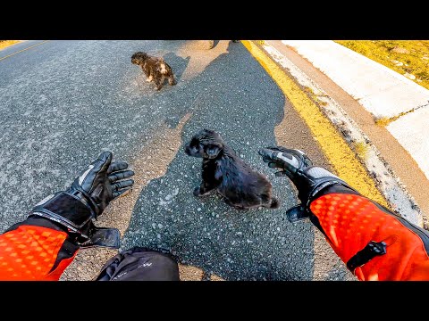 ATAT DE USOR POTI SALVA O VIATA