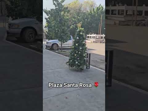 plaza Santa Rosa 🌹