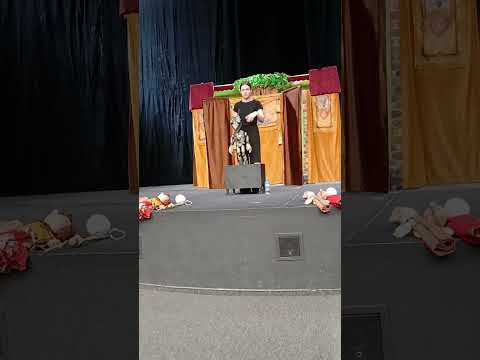 Виды кукол в театре Кукол имени Вольхонского(Челябинск)