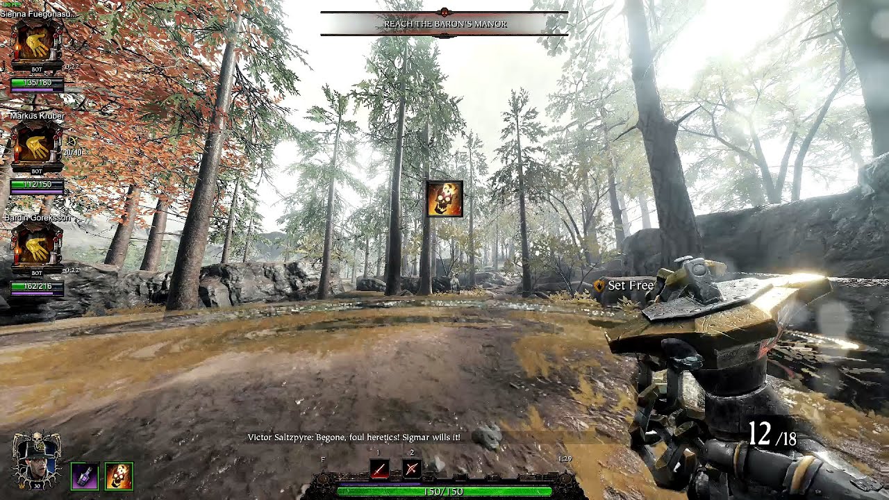 Witch Hunter Captain Career Skill Bug