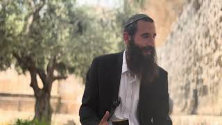 לשנוא את הרע ולהילחם בו או להיות עסוק רק בטוב ובקודש? מזמור צ"ז בתהילים | הרב אלישע וולפסון (ישיבת הר הבית) - התמונה מוצגת ישירות מתוך אתר האינטרנט יוטיוב. זכויות היוצרים בתמונה שייכות ליוצרה. קישור קרדיט למקור התוכן נמצא בתוך דף הסרטון לשנוא את הרע ולהילחם בו או להיות עסוק רק בטוב ובקודש? מזמור צ"ז בתהילים | הרב אלישע וולפסון (ישיבת הר הבית) - התמונה מוצגת ישירות מתוך אתר האינטרנט יוטיוב. זכויות היוצרים בתמונה שייכות ליוצרה. קישור קרדיט למקור התוכן נמצא בתוך דף הסרטון