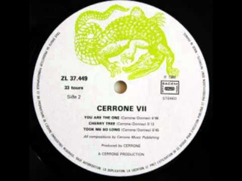 Cerrone Featuring Jocelyn Brown - Took Me So Long (Special Disco Version)