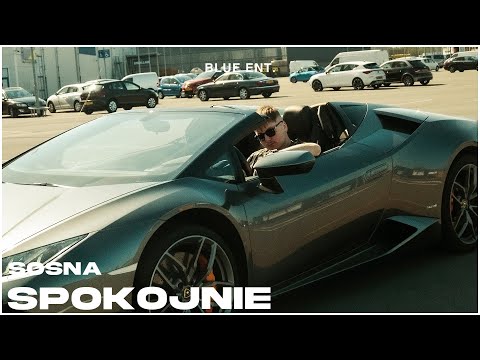 Sosna - Spokojnie (Prod. Sosna)