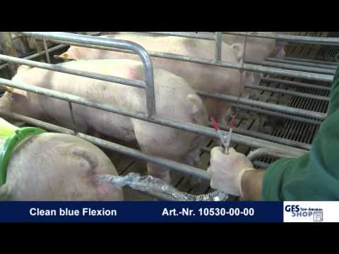 Clean blue flexion HD