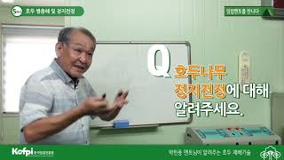 [호두5] 호두 병충해 및 정지전정
