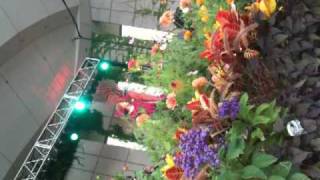 Neko Case - Prison Girls Live