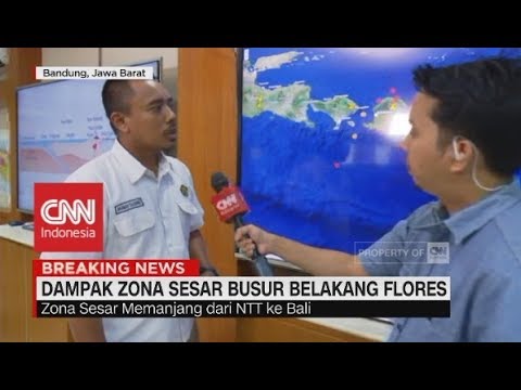 Peterseli atau ketumbar untuk potensi Mungkin untuk meningkatkan penis