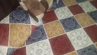 Download lagu Bike Ki Chabi nahi mil Rahi chadar par hi rakhi thi mp3