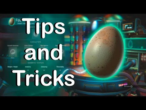 How To Properly Sequence Eggs (NMS Endurance)