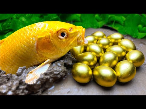DIY Lego Fish Pond Trap Crocodile, Big frog, Colorful Koi fish | Stop Motion ASMR Experiment Fishing