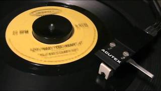 Dave Clark Five - Any Way You Want It - [simulated STEREO]