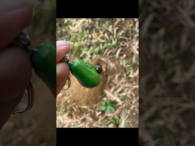 Vídeo relacionado con Mr. Wonderful Set 2 llaveros Personas Que encajan a la perfección, Caucho, Multicolor, Aguacate