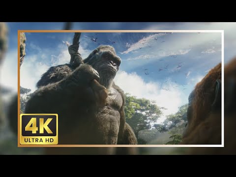 Kong 2024 Scene Pack | Godzilla X Kong The New Empire 4K Clips